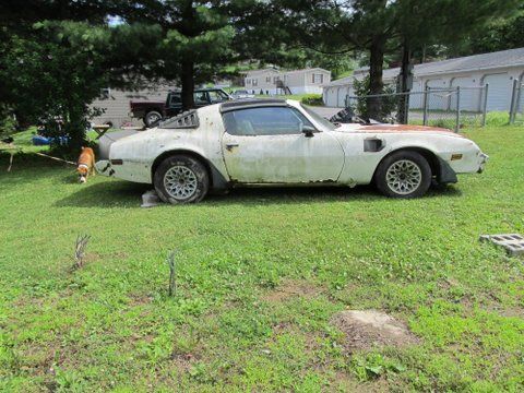 1981 trans am project barn find