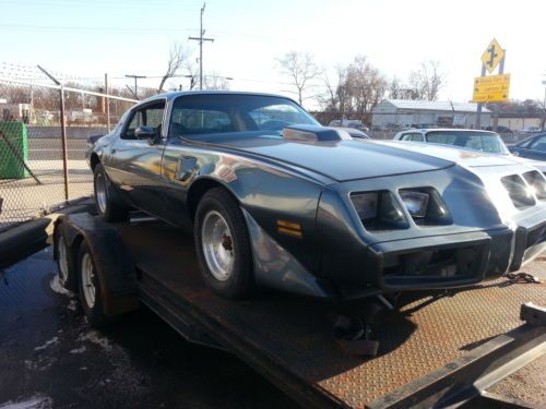 1979 pontiac firebird trans am coupe 2-door 6.6l