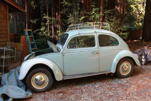 1964 bug vw.