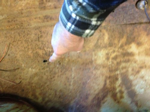 1957 chevrolet belair 2 door hard top no post, image 11