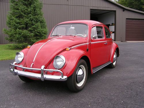 1964 volkswagon beetle