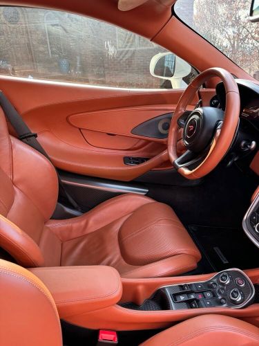 2017 McLaren 570, US $136,500.00, image 19