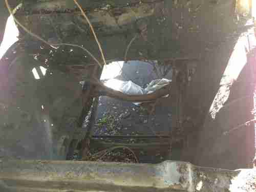 1956 ford f100 Pickup Truck Street Rod Rat Rod harvester International pick, image 19
