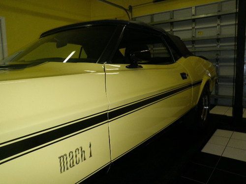 Ford Mustang Mach 1 Convertible factory 4 speed, image 12