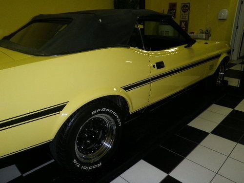 Ford Mustang Mach 1 Convertible factory 4 speed, image 16