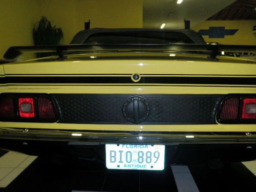 Ford Mustang Mach 1 Convertible factory 4 speed, image 18