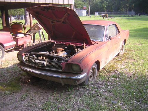 1966 ford mustang project car