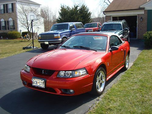 2001 Ford Mustang SVT Cobra Convertible 2-Door 4.6L, image 3
