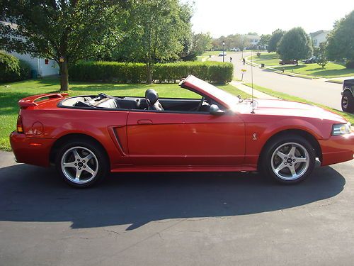 2001 Ford Mustang SVT Cobra Convertible 2-Door 4.6L, image 11