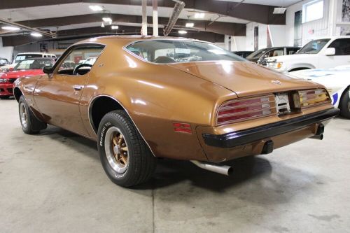 1974 Pontiac Firebird Esprit, US $13,900.00, image 9