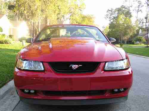1999 Ford Mustang Steeda GT Q Convertible 2-Door 4.6L, image 9