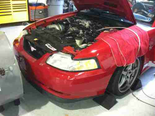 1999 Ford Mustang Steeda GT Q Convertible 2-Door 4.6L, image 20