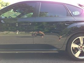 2009 Subaru Impreza WRX STI, image 8