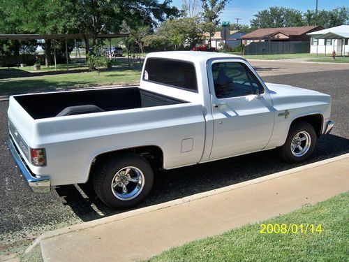 1986 chevy pick up / 350 motor / ghost flames / all new truck