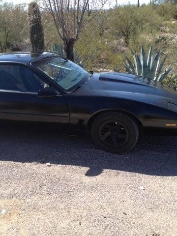 1983 pontiac firebird base coupe 2-door 2.8l runs great! good body!