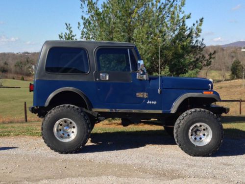 1979 cj jeep