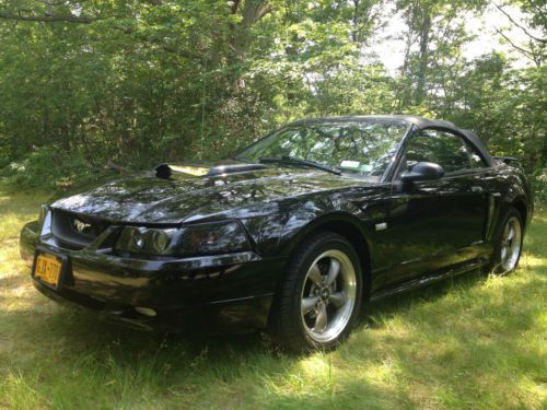 2003 ford mustang gt convertible ford motor company centennail  edition