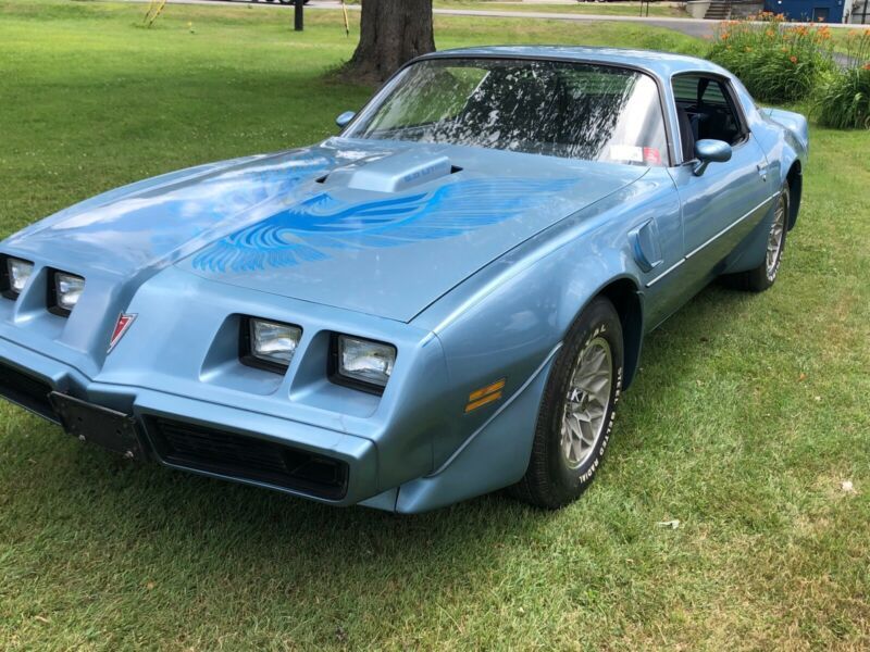 1981 pontiac firebird trans am