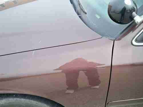 2002 Ford Crown Victoria Police Interceptor, image 7