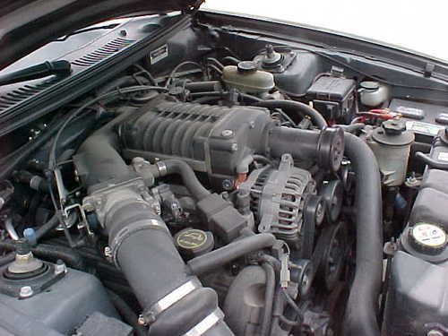 MUSTANG SALEEN 2003, image 14