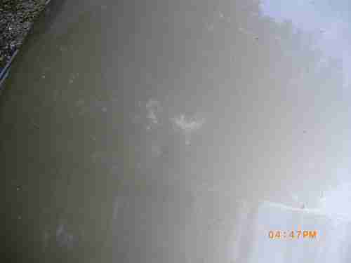 1999 Honda Odyssey LX Mini Passenger Van 5-Door 3.5L, US $3,900.00, image 14