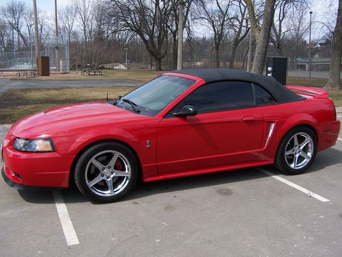 99 mustang cobra