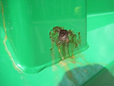 Diesel, dump body, V8, dual rear wheels, 4x4, image 38