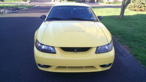 2001 ford mustang svt cobra