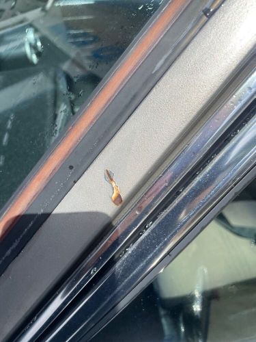 1979 BMW 320i SuperCharged, US $9,999.00, image 12