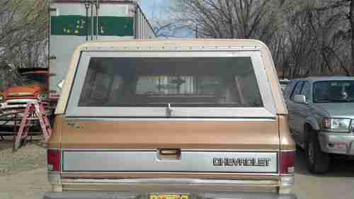 85 CHEVY CAMPER SPECIAL TRUCK WITH 454, image 7