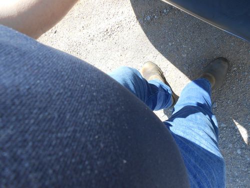 2000 Dodge Ram 1500 WS Standard Cab Pickup 2-Door 5.2L, image 16