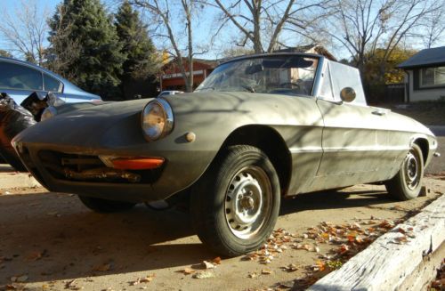1969 alfa romeo spider roundtail duetto project