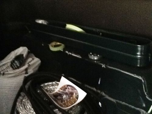 1948 Ford F1 300d Mercedes, image 2