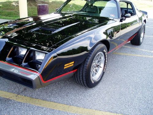 1979 pontiac firebird