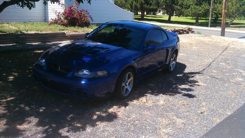 2003 ford mustang svt cobra terminator sonic blue