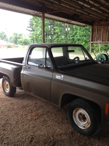 1974 Chevy 1500 pick-up 54,000 actual miles, US $3,200.00, image 2
