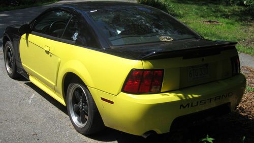 2000 ford mustang gt coupe 2-door 4.6l spring feature edition black on yellow