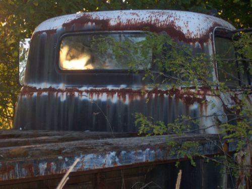 grain/box truck, US $1,000.00, image 4