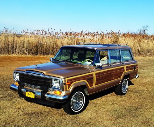 1989 jeep grand wagoneer &#034;wagonmaster&#034;