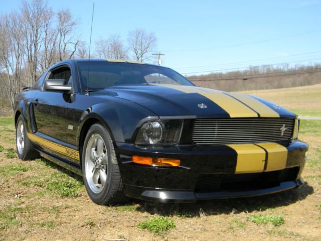 2006 - ford mustang