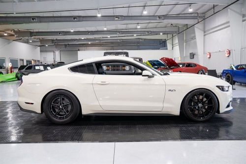 2015 ford mustang gt 50yr ltd ed.