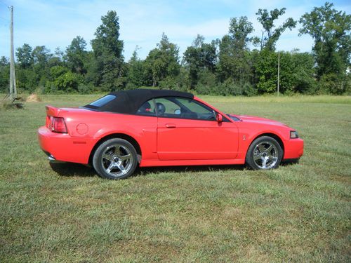 2004 svt cobra 'terminator' convertible 1 of 167 nice nice nice !!!!!!!!!!!!!!!!