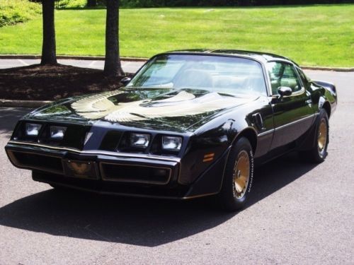 1981 pontiac firebird trans am y84 &#034;bandit&#034;, 100% original survivor