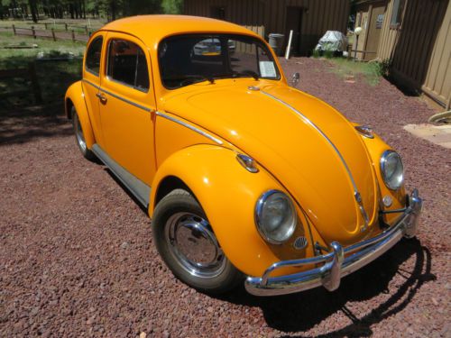 1961 volkswagen beetle,1976 1600 cc motor,socal  restoration,no rust,no reserve!