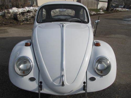 1965 vw beetle.......bug..