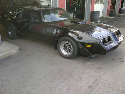 1980 pontiac firebird trans am coupe 2-door 4.9l