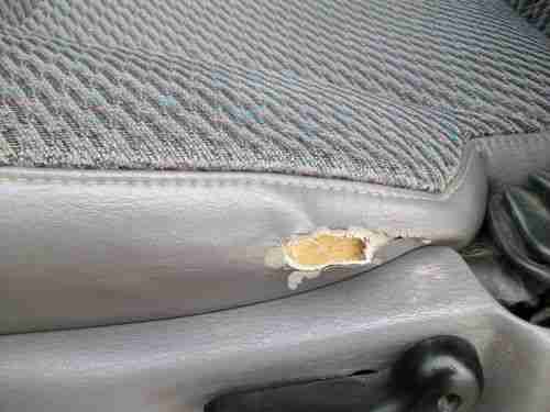 2001 dodge ram 1500 4x4 no reserve runs great, image 7