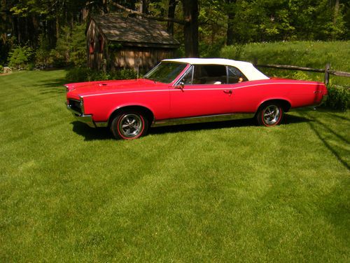 1967 gto