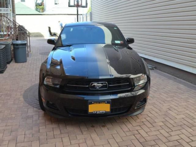 Ford: mustang v6