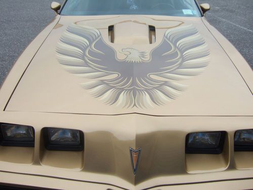 1979 Pontiac Trans Am, image 3